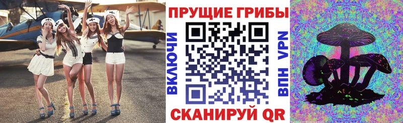 Купить где  Сурск  Галлюциногенные грибы мухоморы 