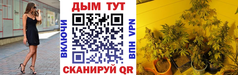 Купить где  Сурск  Бошки марихуана гибрид 